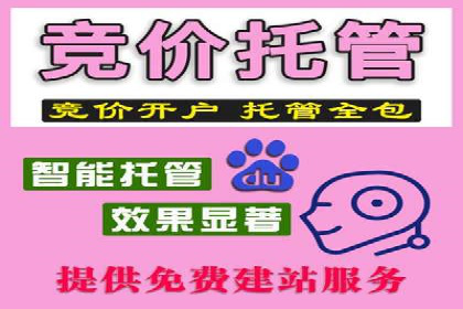 探索百度竞价代运营公司的成功之路